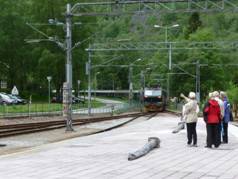 flam2train.jpg