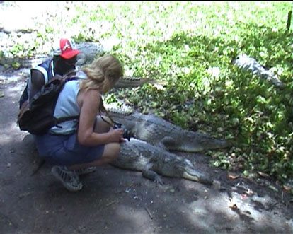 krokodil